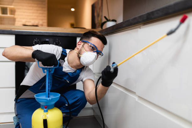 Best Termite Control Services  in Libby, MT