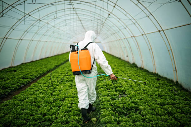 Pest Control Cost in Libby, MT