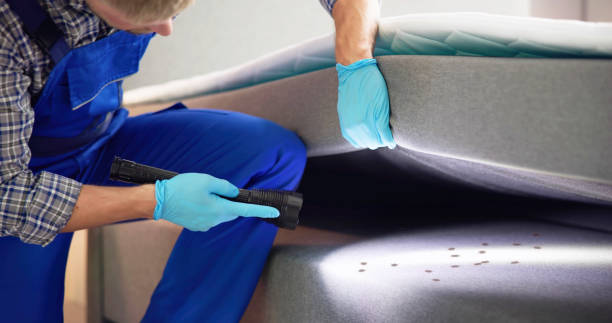 Best Local Pest Control Services  in Libby, MT