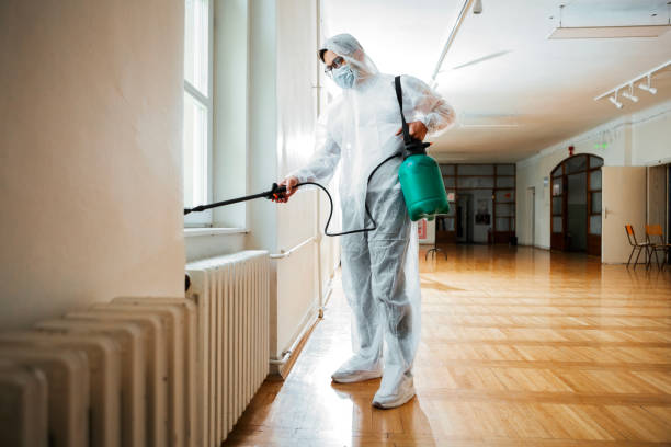 Best Emergency Pest Control  in Libby, MT